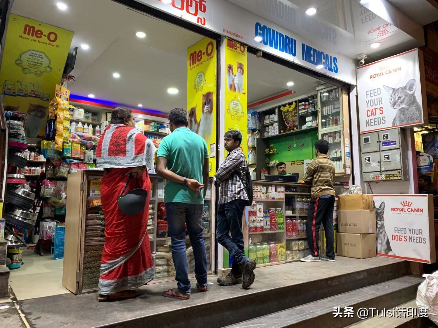 印度猫粮市场 (印度猫粮批发市场)