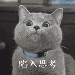 猫咪不用猫砂乱拉乱尿怎么办,猫咪尿味在家里怎么快速处理