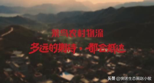 农村物流提速!中通韵达入股菜鸟旗下溪鸟物流