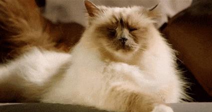 六款公认好用面霜总结,看似很好用的护肤品