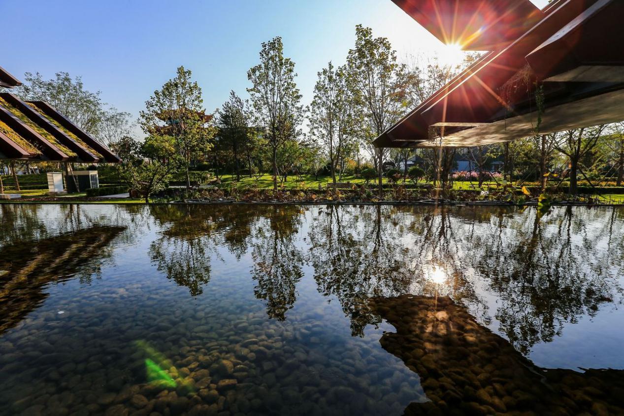 武汉十大免费公园,武汉最大的免费湿地公园