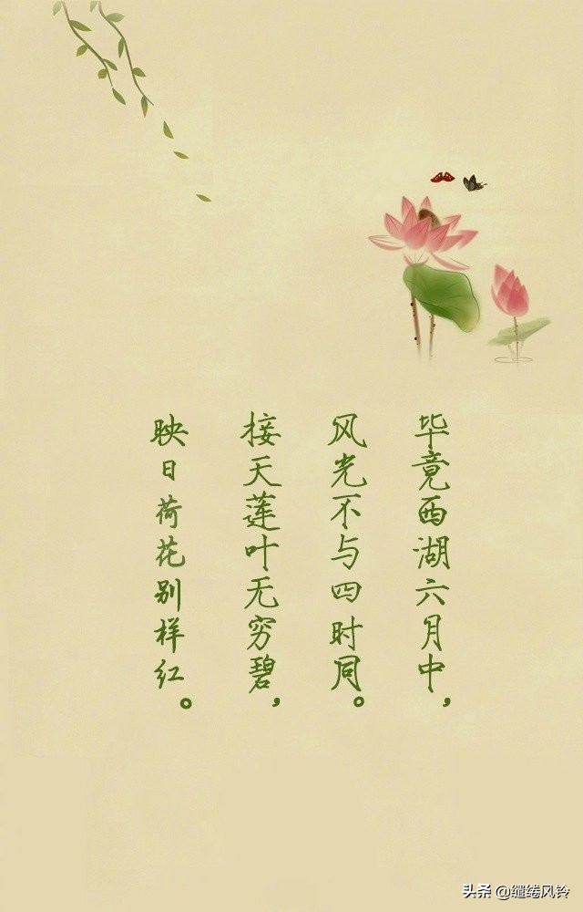 荷花出淤泥而不染全诗,满池荷花出淤泥而不染诗句