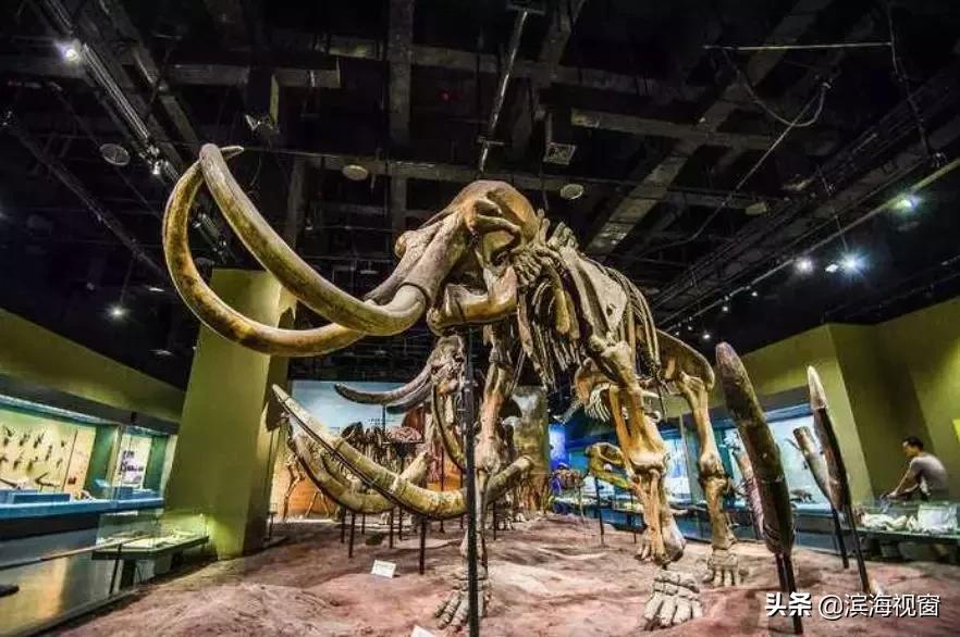 天津冬季市内一日游最佳景点,天津旅游景点推荐网红一日游