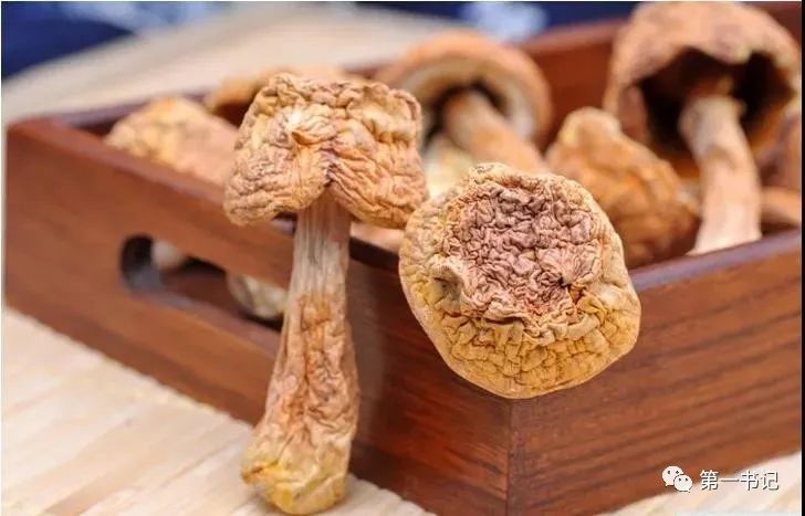 食用菌产业为贫困户撑起致富伞,菇中精品椴木香菇