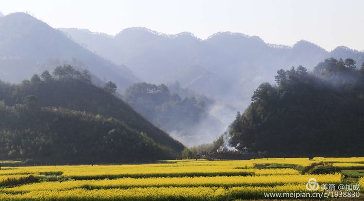 鍗拌薄姹潙,澶у簷姹潙