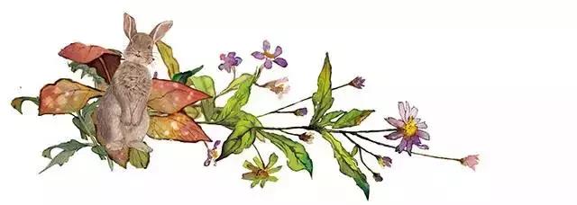 狮子王辛巴体型有多大,狮子王辛巴成长记录