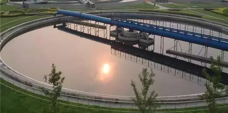 氨氮去除很好但总氮超标怎么回事,氨氮总氮超标有什么处理方法