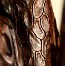 破损的旧木雕修复方法,什么木头做木雕最有收藏经济价值