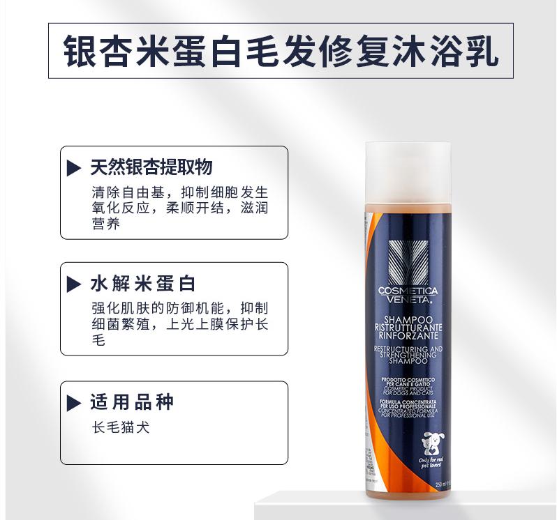 猫舍长毛猫洗护日常分享,无毛猫的清洁与护理全攻略