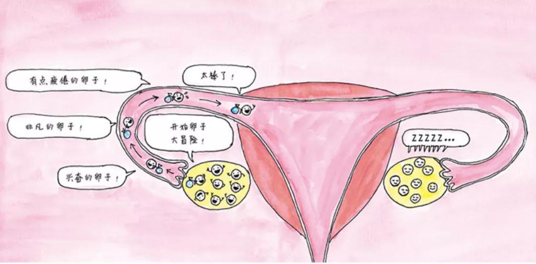 郑渊洁适合两岁童话绘本,郑渊洁最好看的十本书