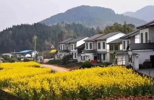 十个创业九个死的原因到底是什么,十个创业九个死哪些行业是重灾区