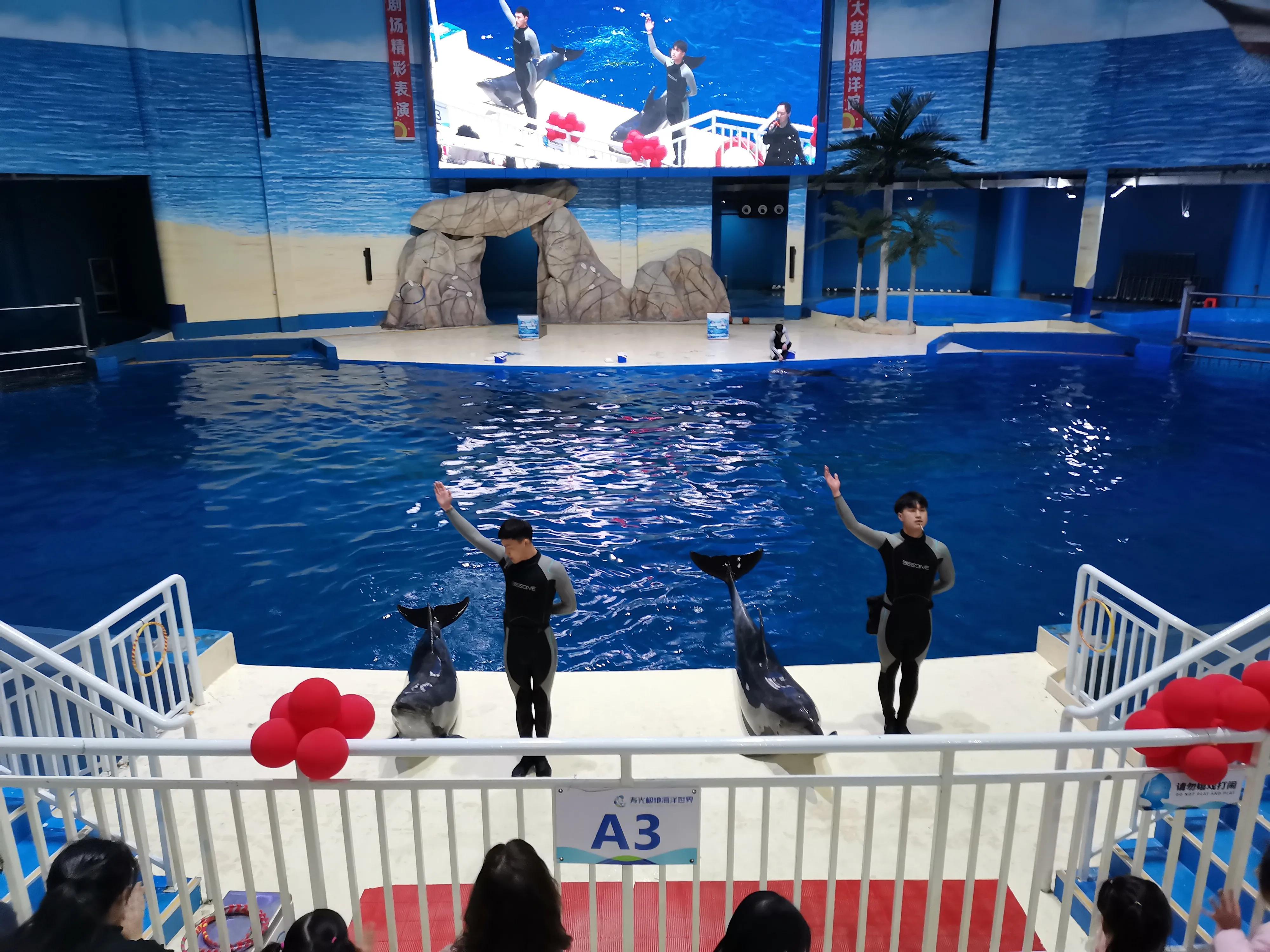 潍坊极地世界,寿光极地海洋世界人多吗