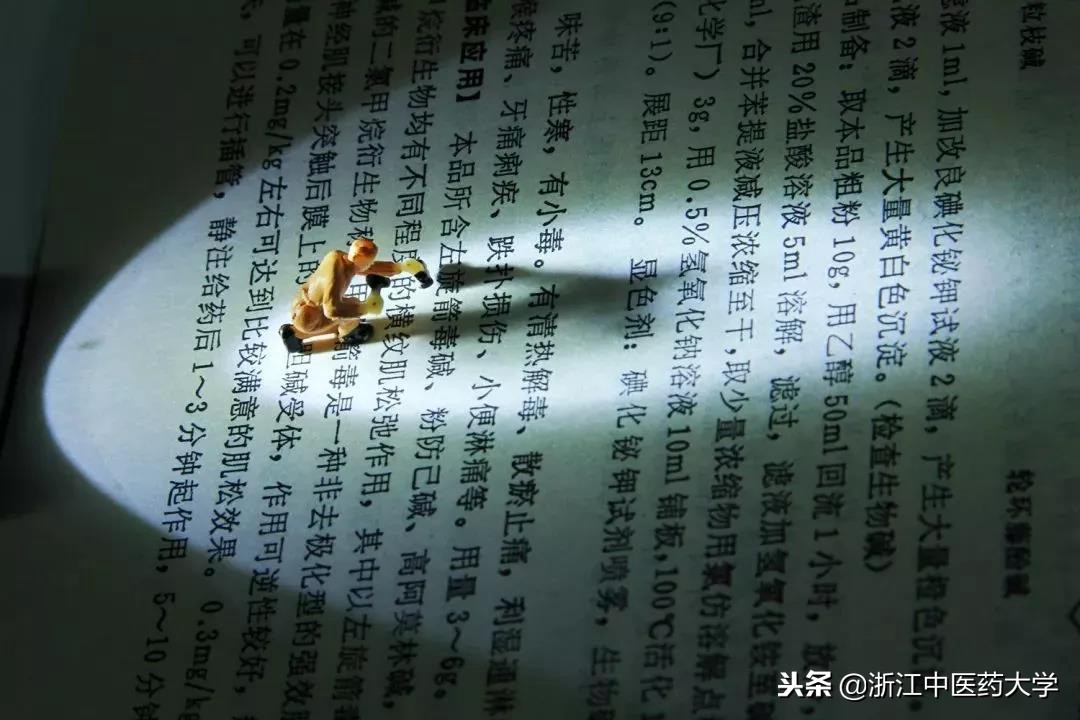 用镜头诉说中医药之美