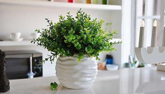 醋去除甲醛最有效的方法是什么,车里放醋去甲醛的正确方法