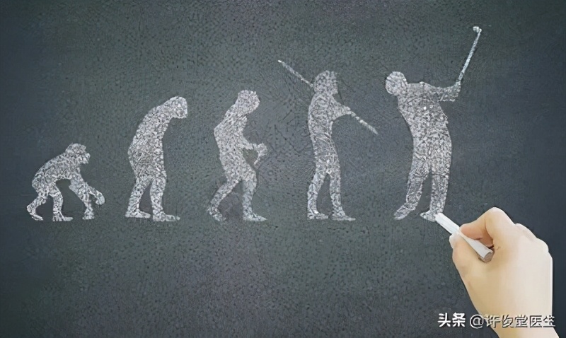 生化免疫检验报告单解读,生化检验正常值与临床意义