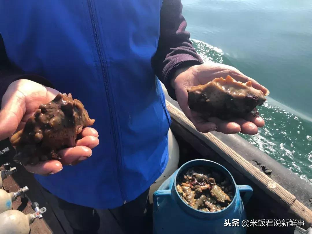 65岁妈妈买海参,老人用白菜价买海参