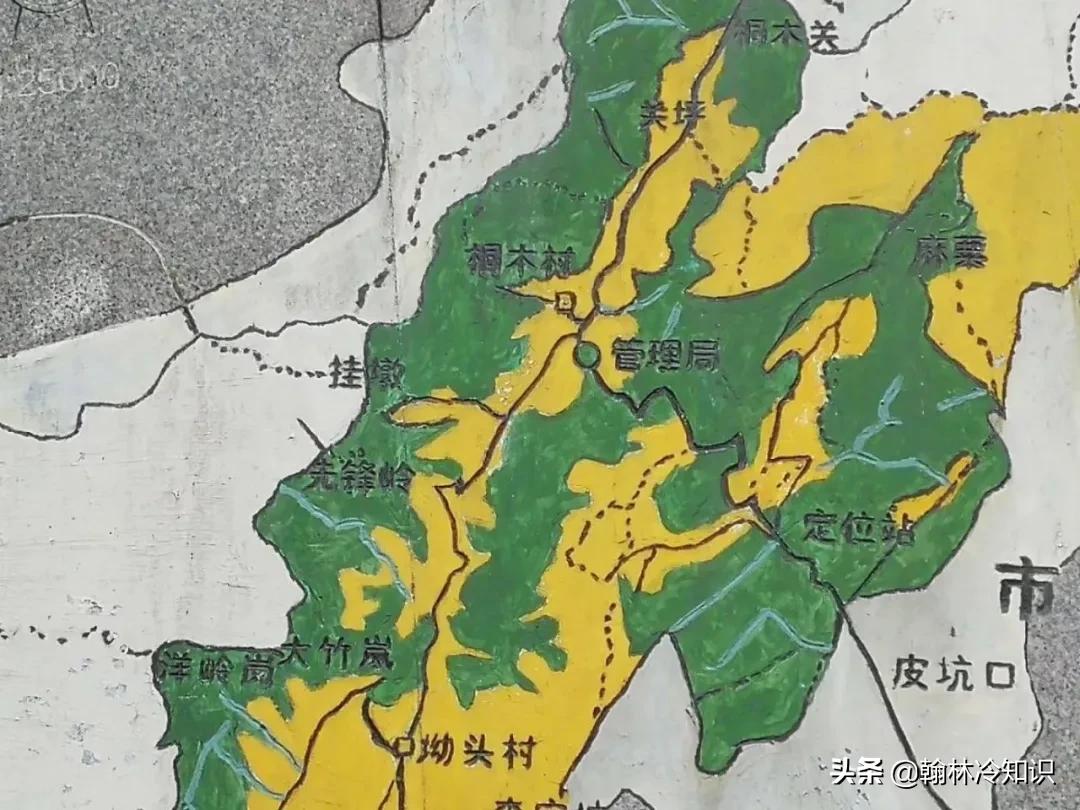 为什么茶人喜欢绿茶和红茶,为什么南方人喝绿茶北方人喝红茶