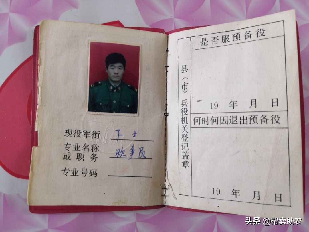 乾隆皇帝宠爱女人,乾隆皇帝宠爱七公主