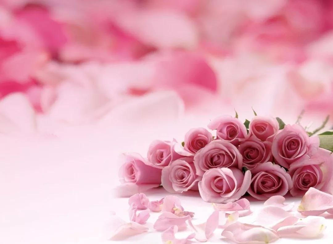 乌鸦病是什么病,为什么说乌鸦嘴是不好的征兆