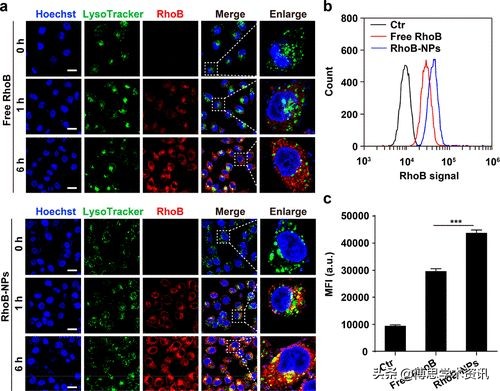国家纳米中心ACSNano：耗竭谷胱甘肽以恢复顺铂化学敏感性