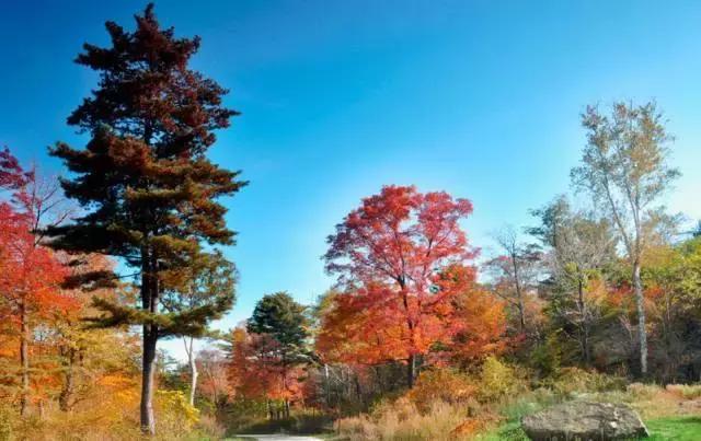 哈尔滨周边有10多个绝美胜地,哈尔滨自驾三亚边走边玩最佳路线