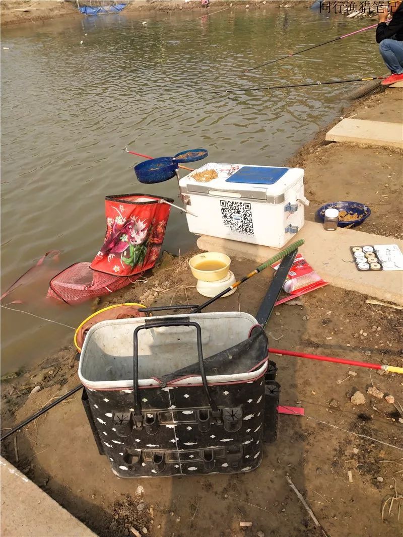 2019钓鱼日记,钓鱼笔记视频