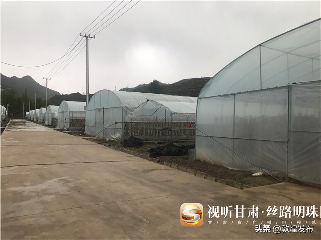 短视频|【决战决胜脱贫攻坚】漳县:小木耳化身致富“金耳朵”