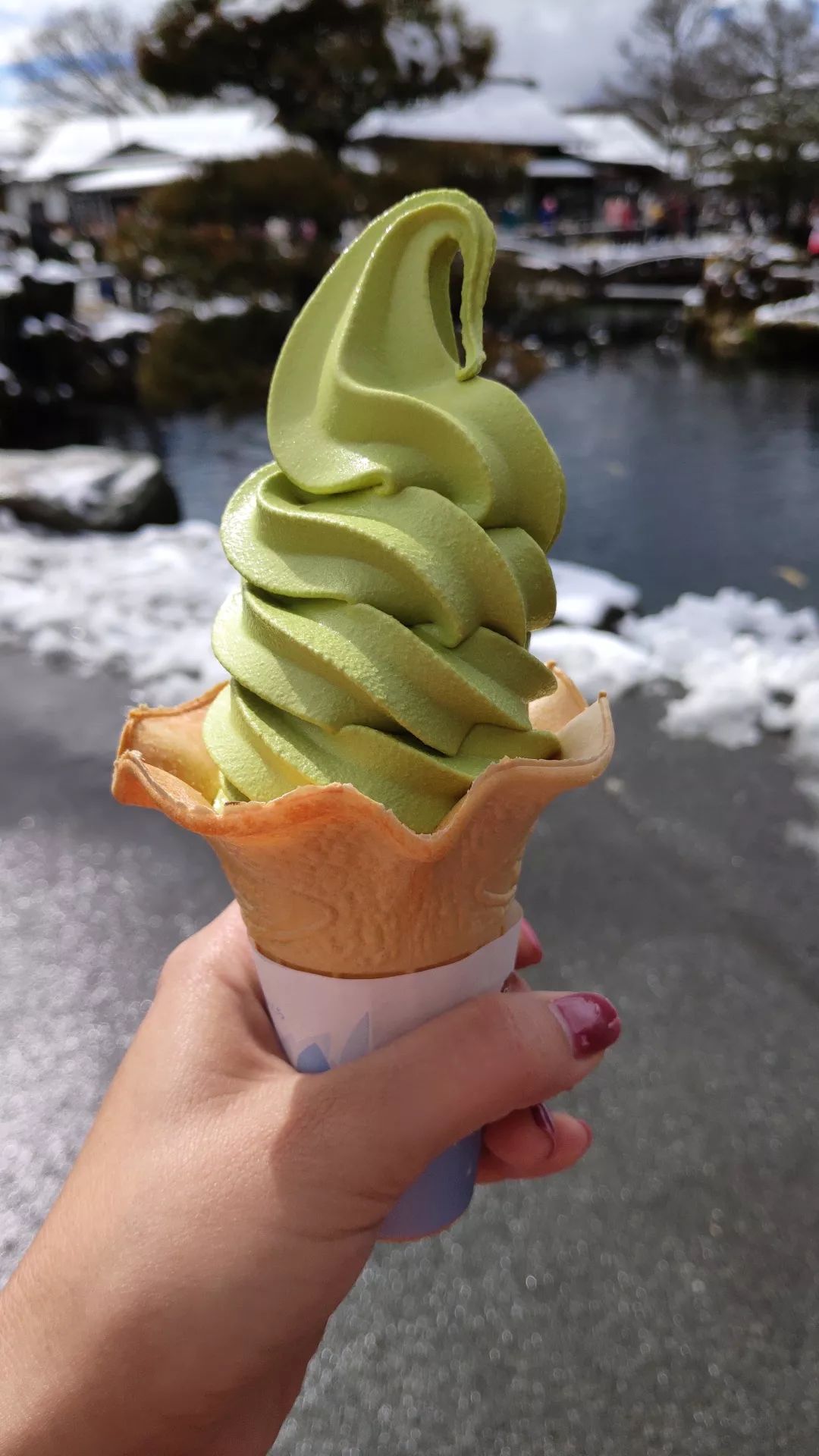 日本本州旅游攻略亲子,日本本州攻略