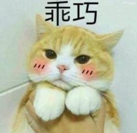 猫咪半夜挠卧室门怎么纠正,不想猫咪上床怎么办