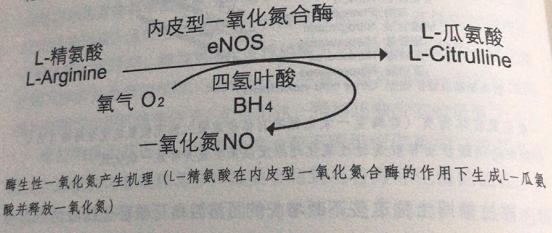 什么营养素减肥最有效,减肥期间补充什么营养素