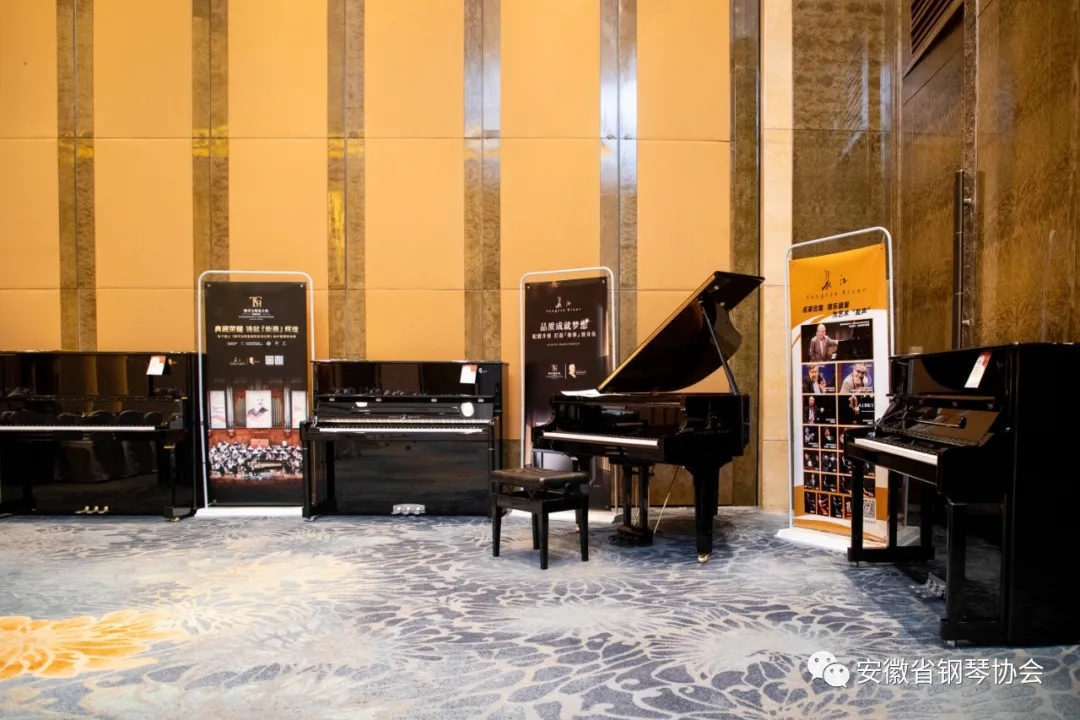 安天旭演奏钢琴,长江钢琴大师班