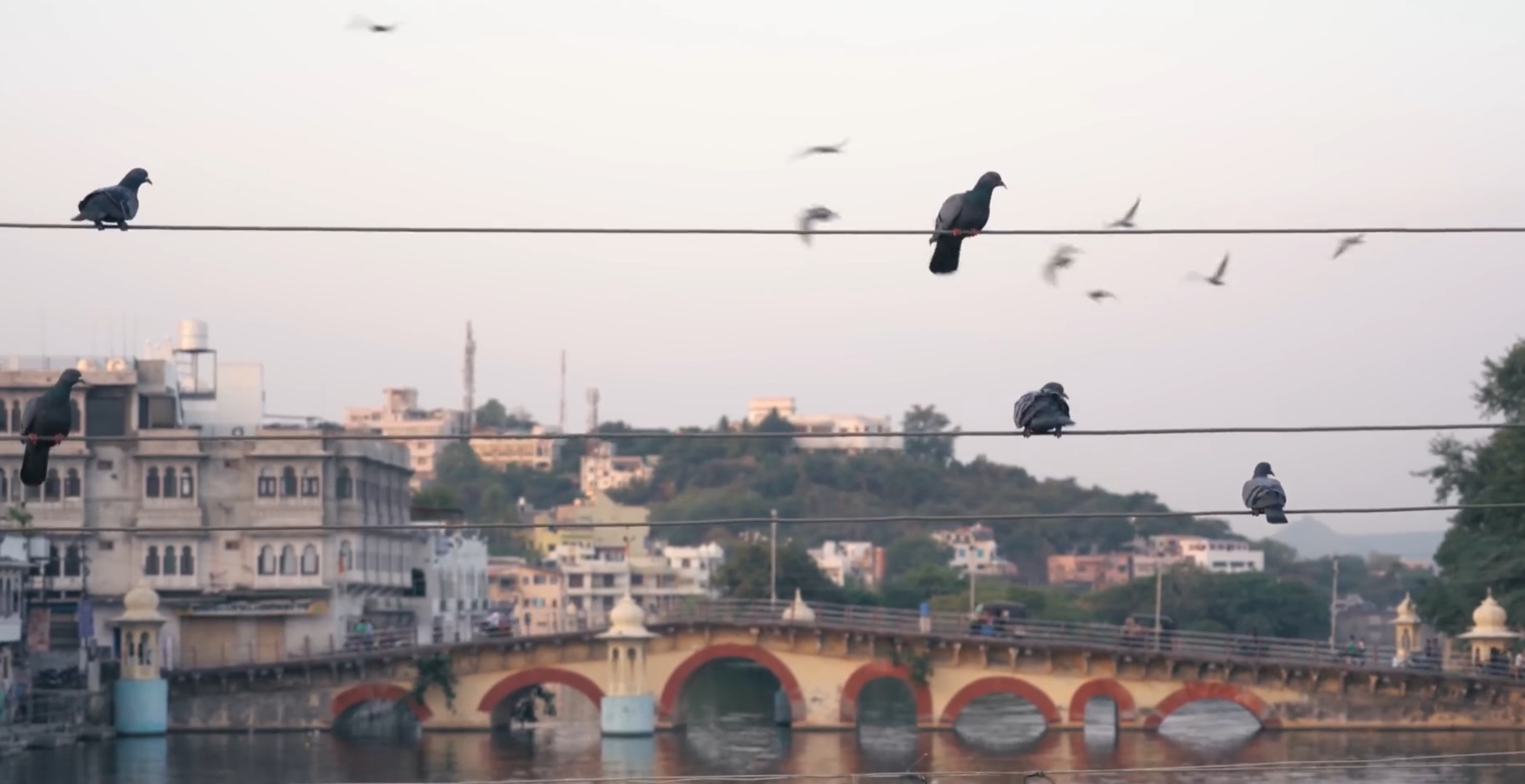 印度最好的香水72小时留香,印度香水什么味道
