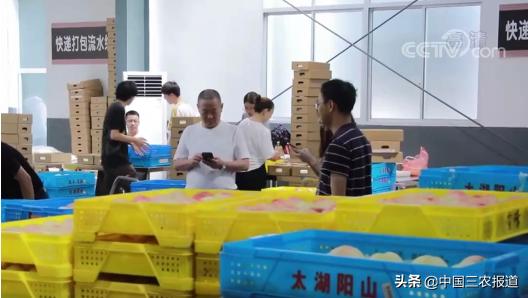 一桃难求！水蜜桃还可以吸着吃？一只能卖80元