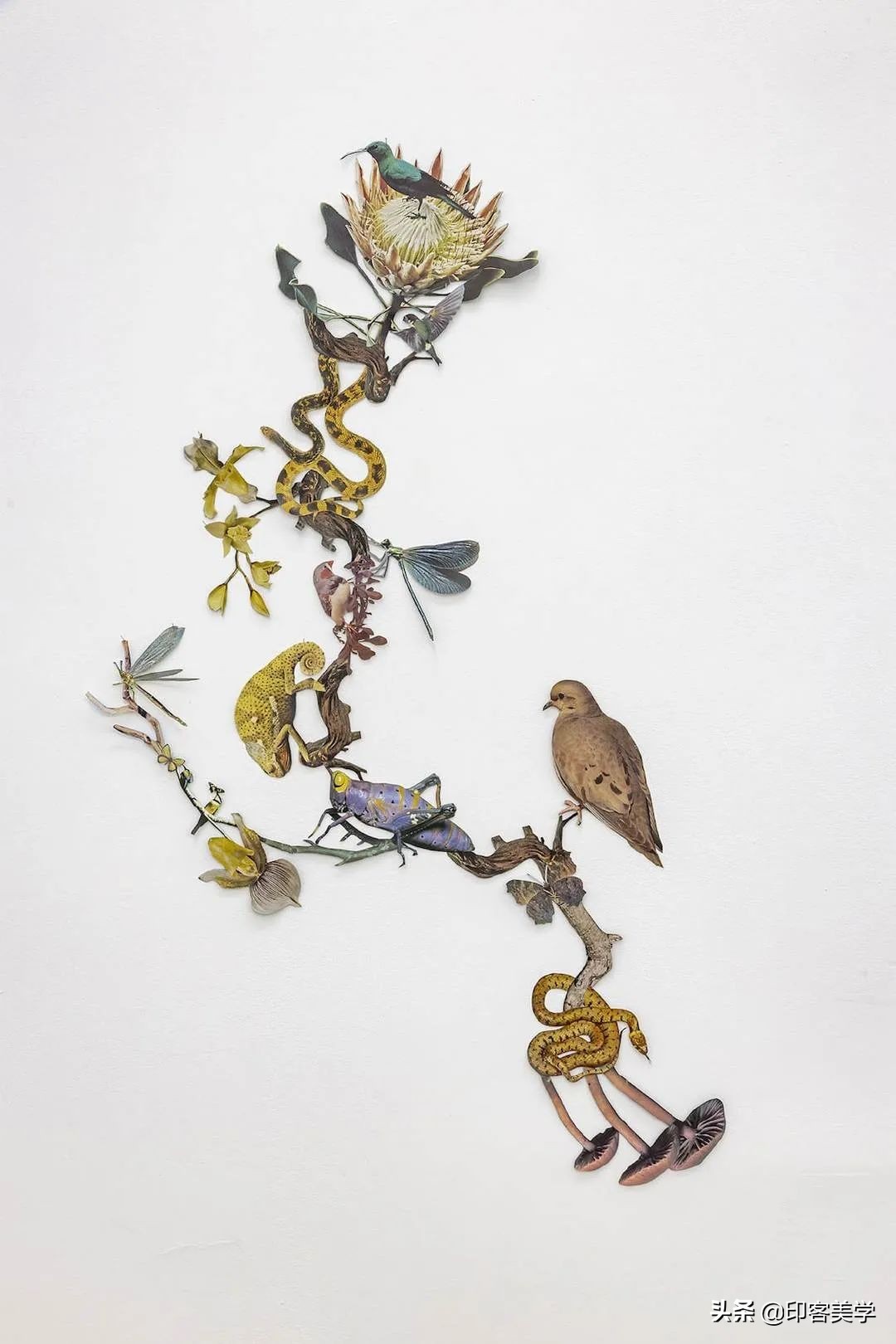 纸的艺术手工作品,惊艳的手工纸艺品