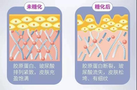 明星吃的抗糖丸,抗糖丸真的能抗衰老吗