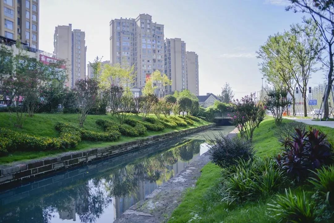 成华头条杉板桥,成华头条正能量