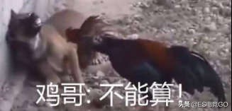 电竞早报:斯德哥尔摩Major冷门频发;巨鸟多多反向运营惹人恼