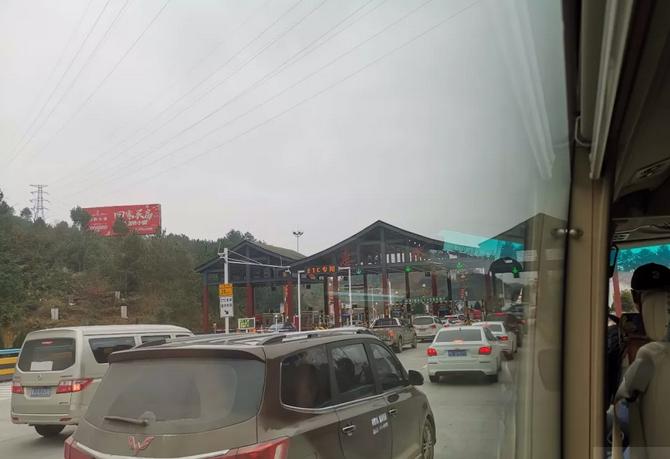 惠水第29届兰博会兰花获奖图片,惠水国际兰花展