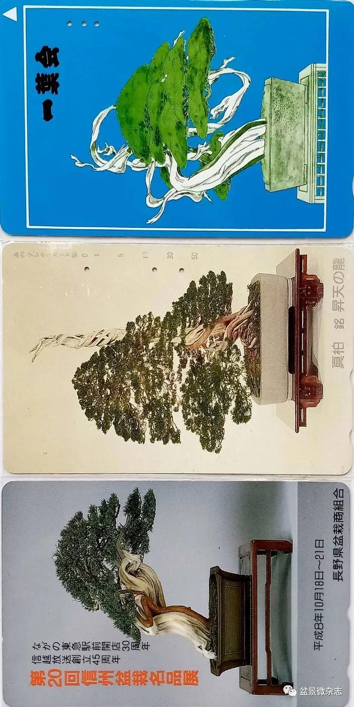 鐩嗘櫙鑱旂郴鐢佃瘽鍙风爜,涓鐩嗘櫙鑱旂郴鏂瑰紡