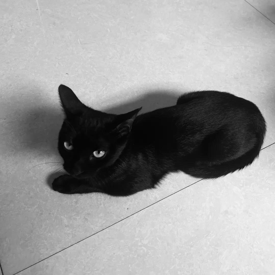 小尹：有过很多不公平的经历，加入好家云店是我最接近公平的一次