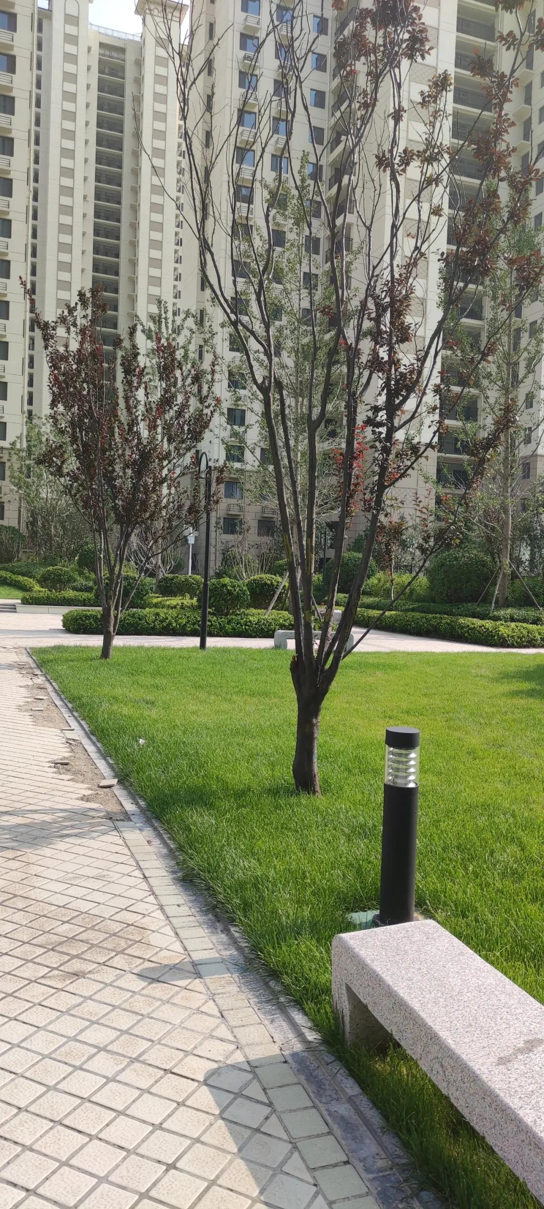 济南碧桂园凤凰城最新房价,济南碧桂园最新的情况