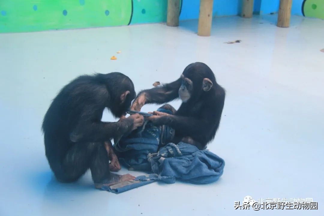 我的“欧慨”找不到啦