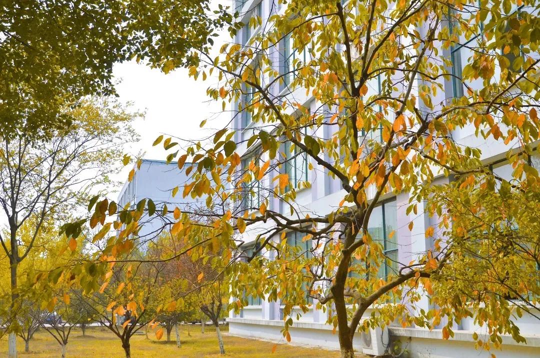 江苏省高校（五十一）南京航空航天大学金城学院