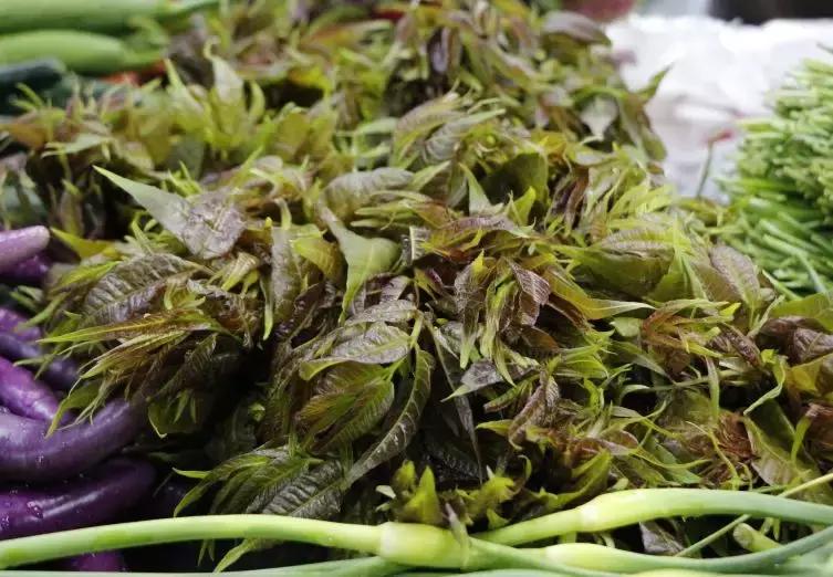 合肥菜价查询最新蔬菜价格表,今日菜价安徽合肥