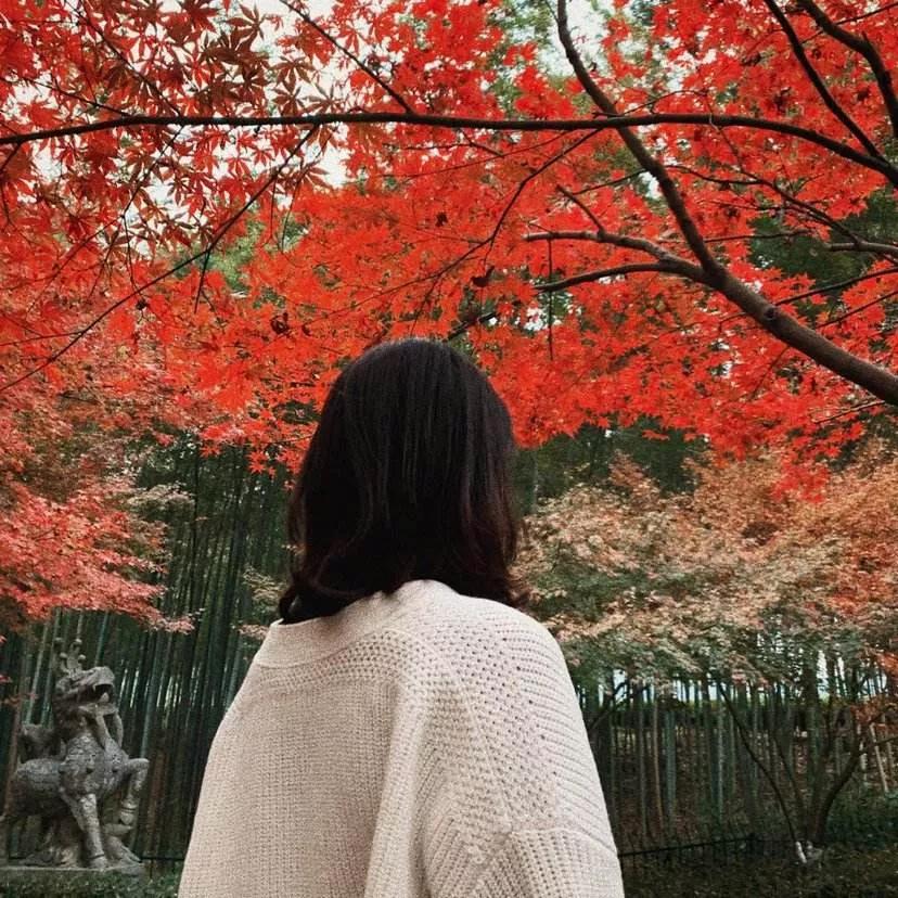 冬天和火锅都不会缺席,冬天和你不期而遇