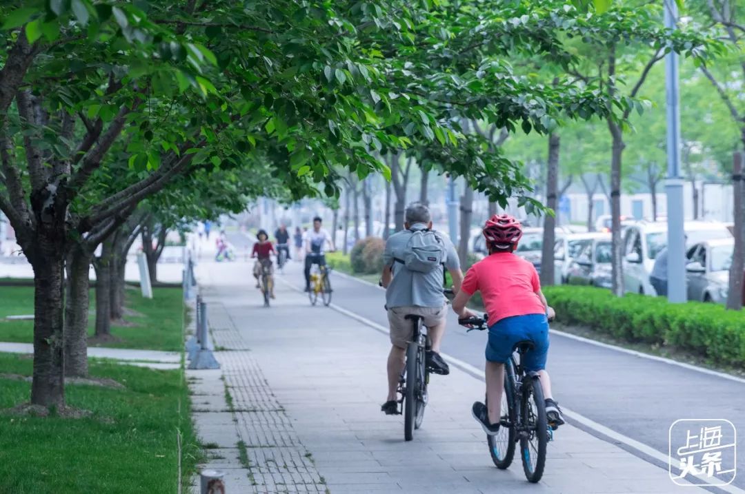 不想回上海了怎么办,不想在上海漂泊了想回合肥