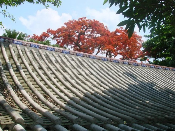 一个人在海边玩一天,一个人在海边怎么玩