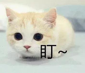 95后租豪车,深夜炸街飙车三男子获刑