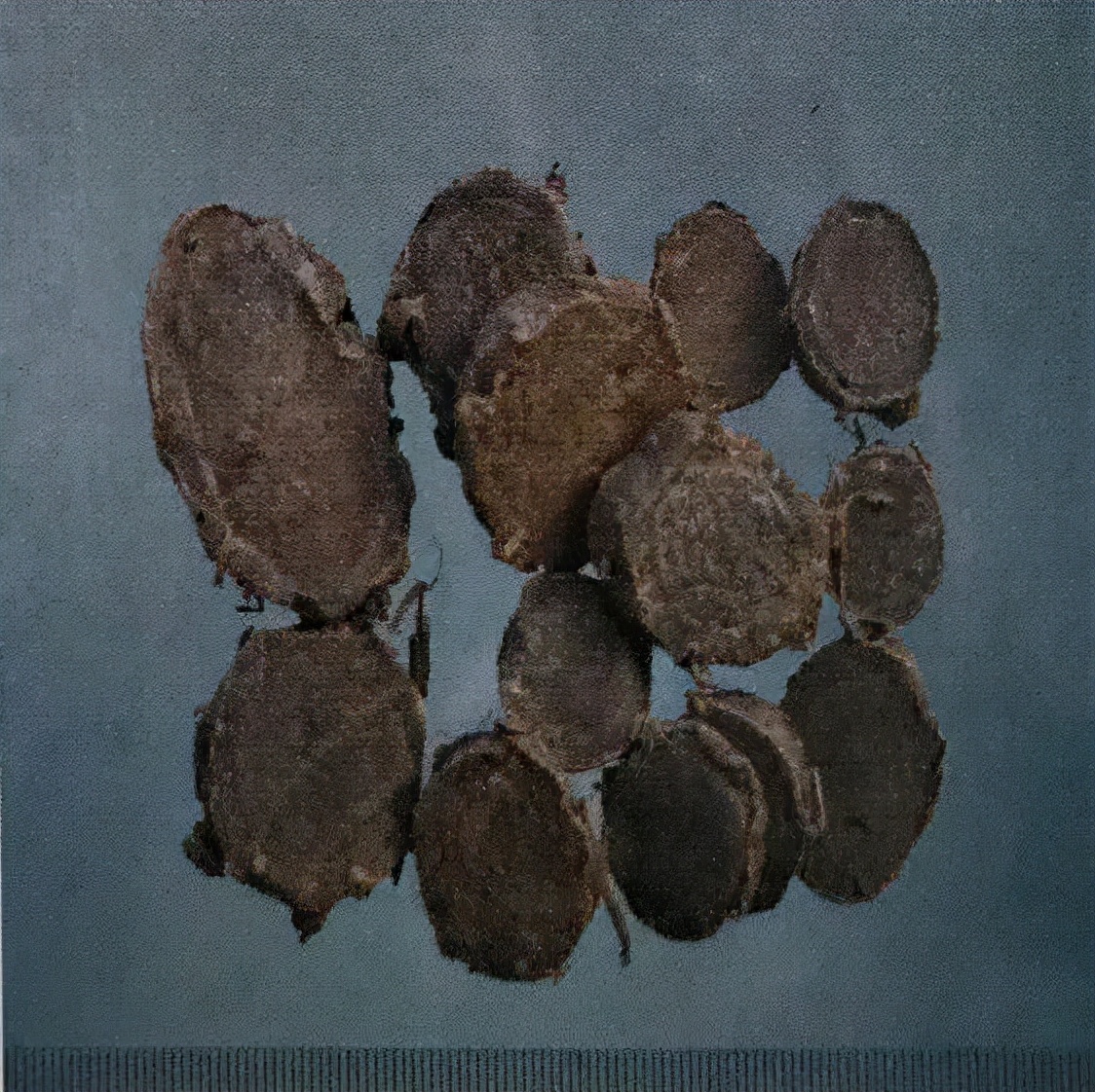 草药莪术的功效与作用,醋莪术行气破血什么意思