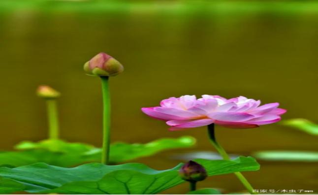 如何预防或减少药物副作用,免疫治疗药物副作用